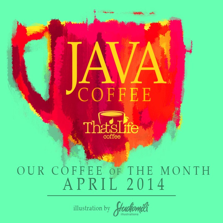Java 2014 P