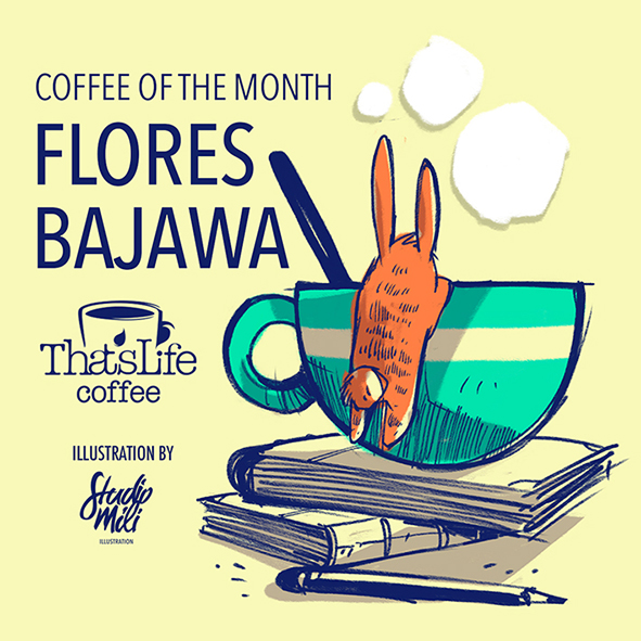 Flores Bajawa