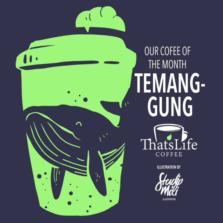 TLC Temangung Oct 2017