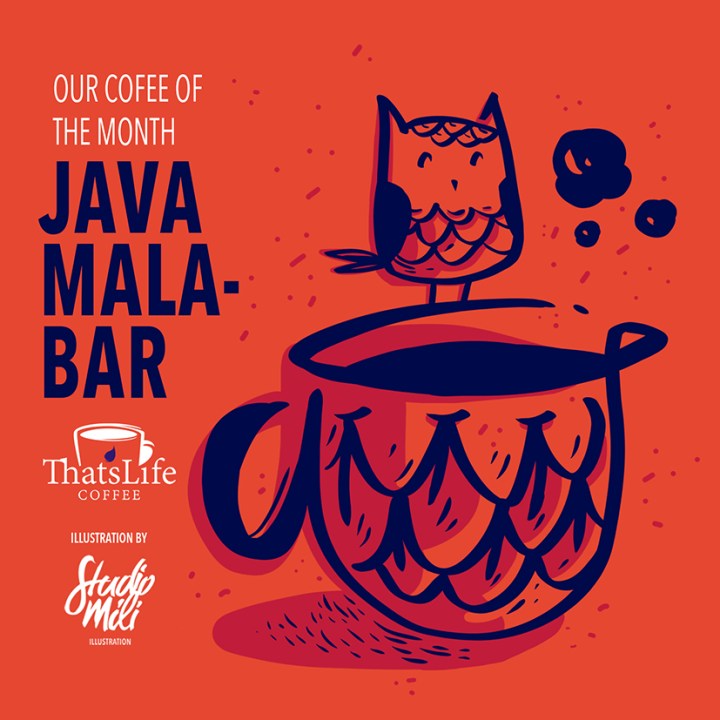 TLC Malabar Nov Des 2017